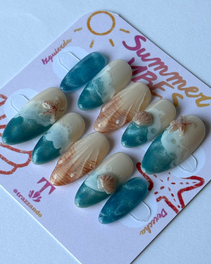 Ocean Shells