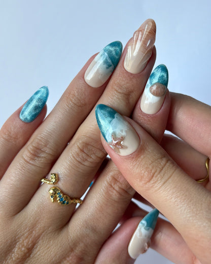 Ocean Shells