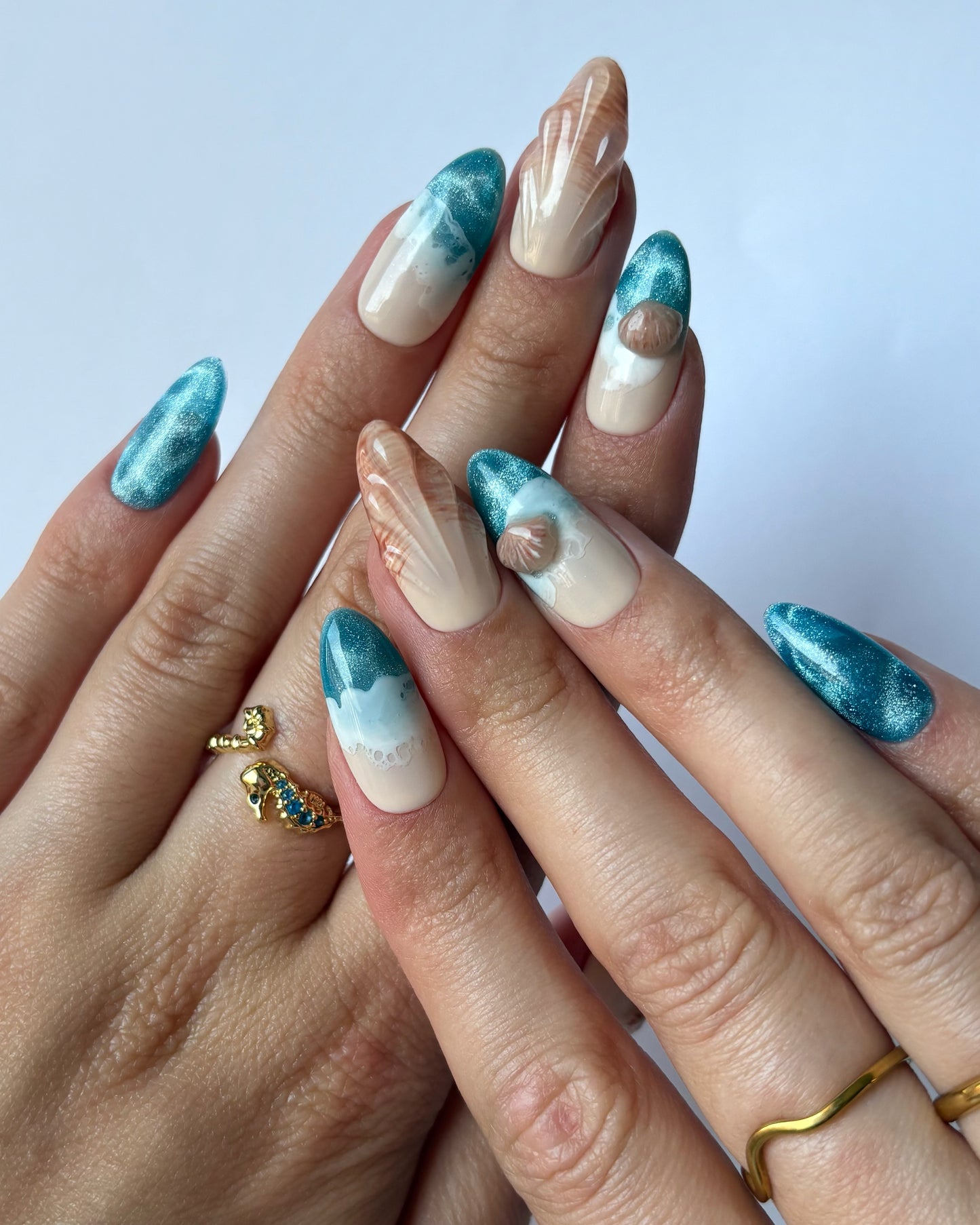 Ocean Shells
