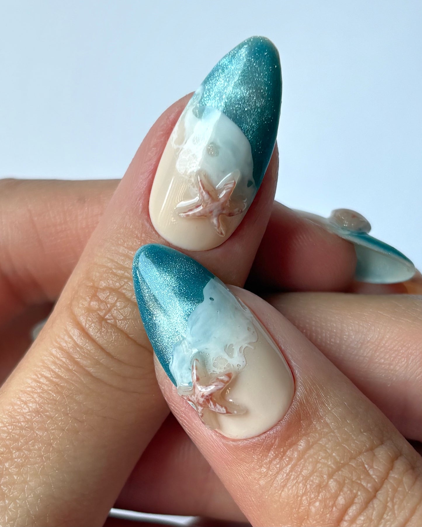 Ocean Shells