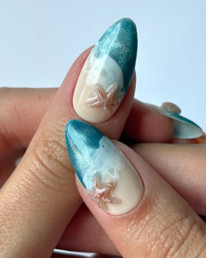 Ocean Shells