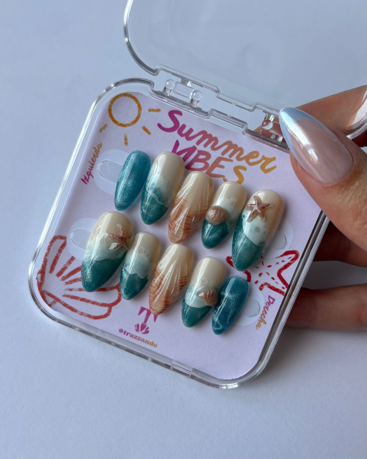 Ocean Shells