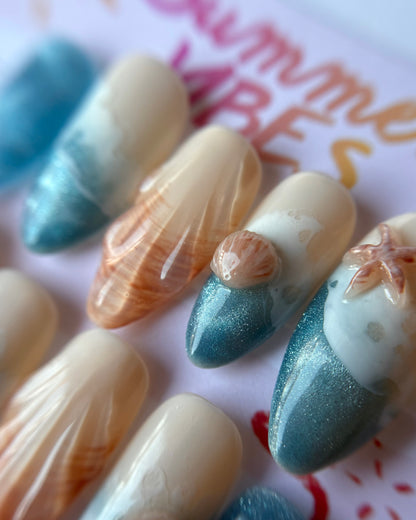 Ocean Shells