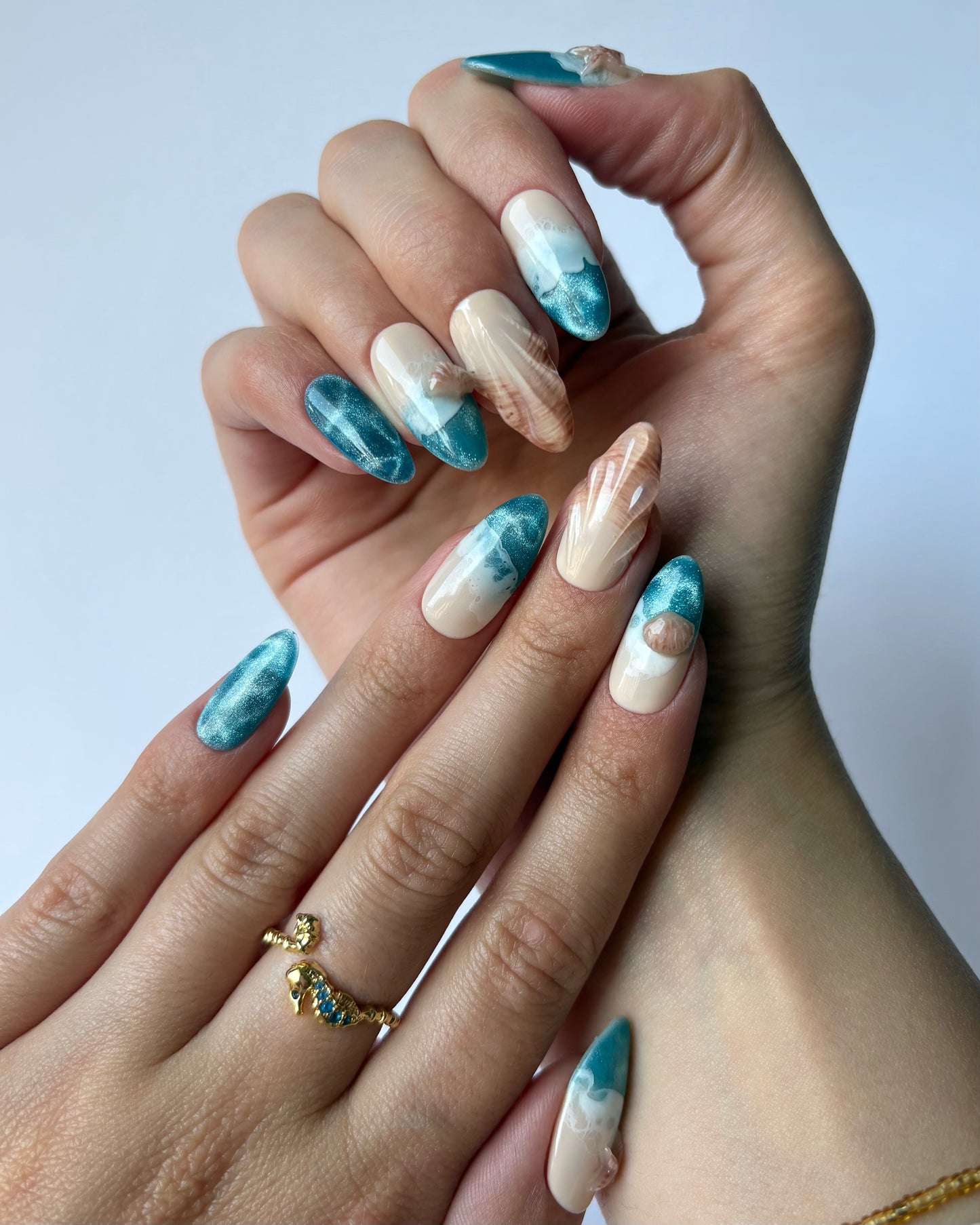 Ocean Shells
