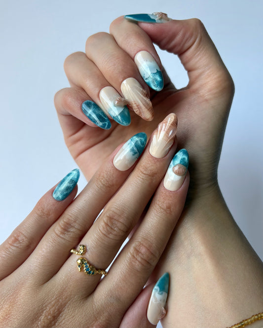 Ocean Shells