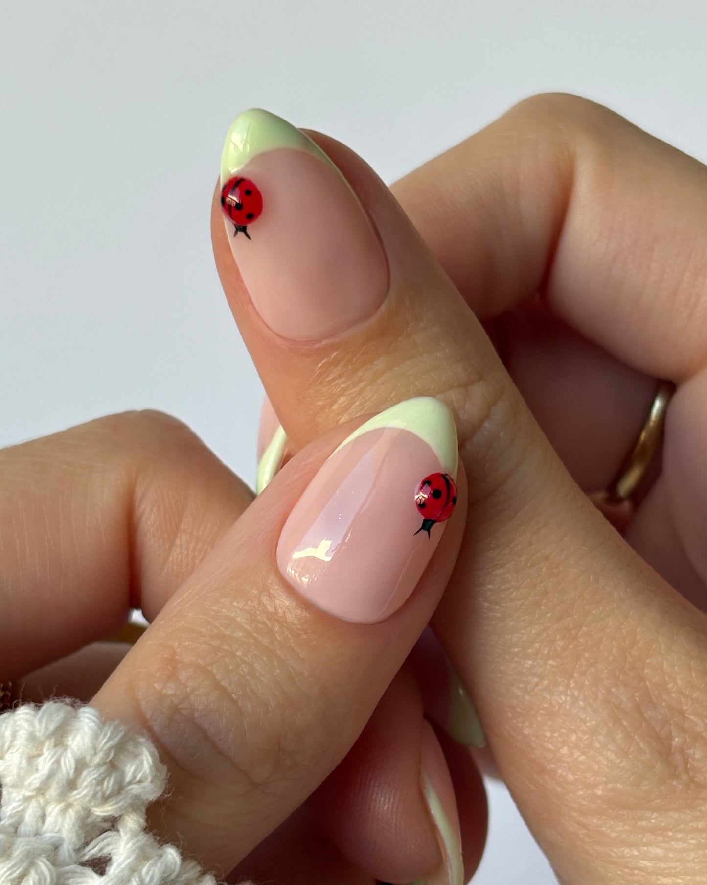 Ladybug