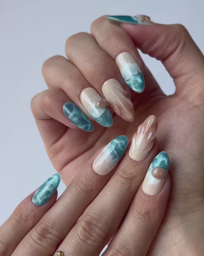 Ocean Shells